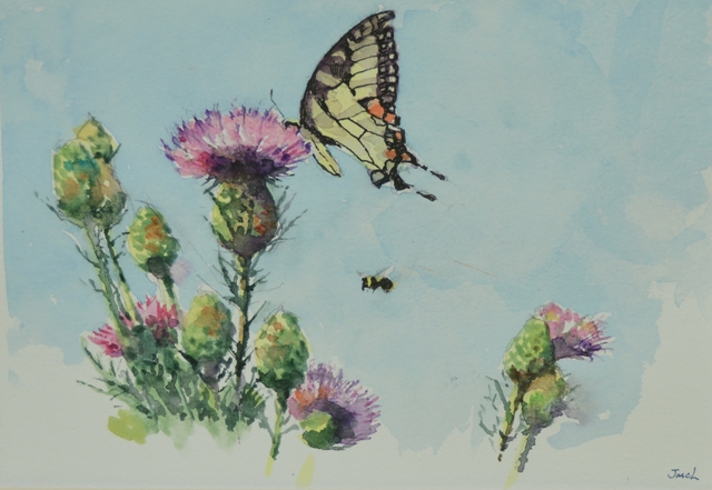 Thistle, Butterfly, and Bee
